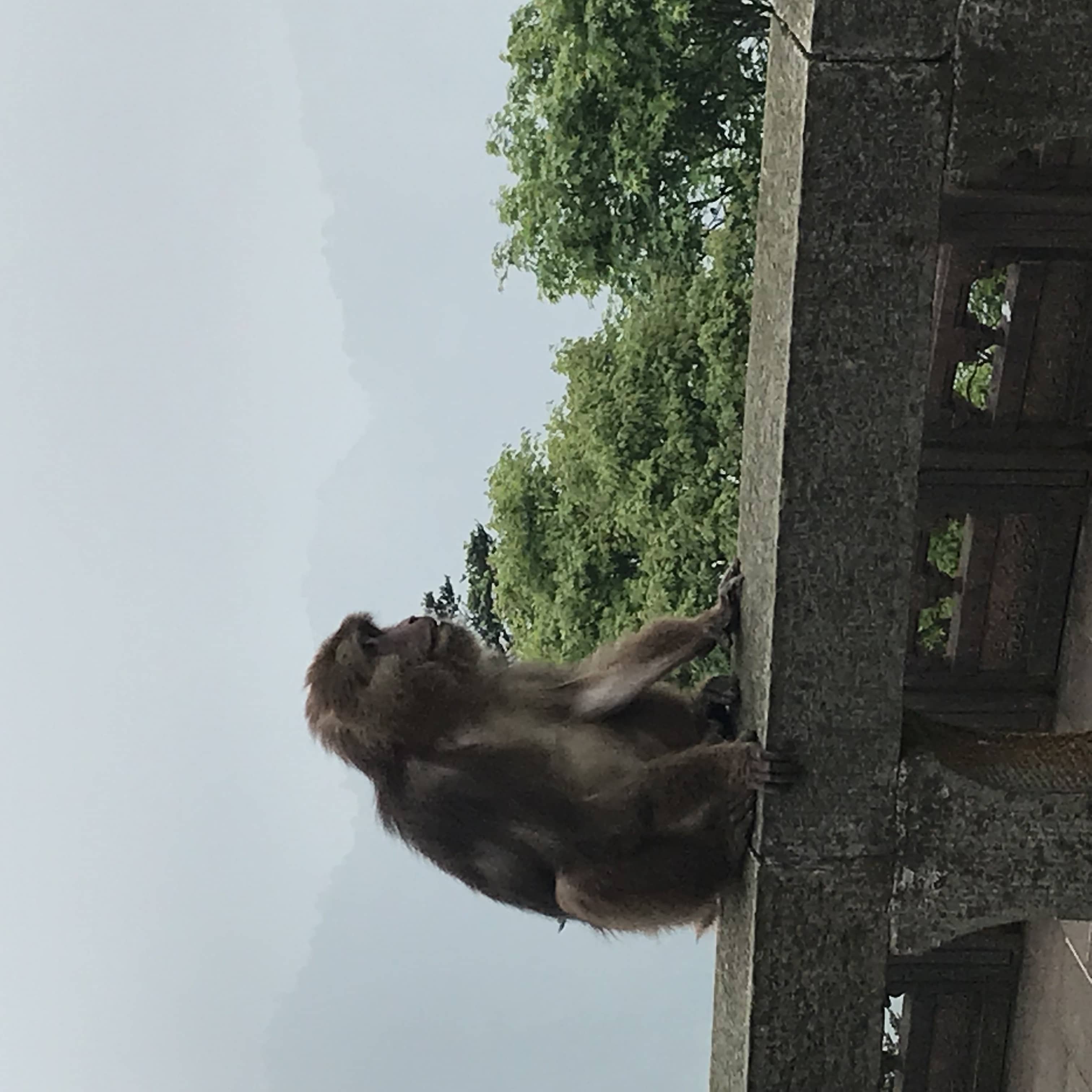 咱们俩博客