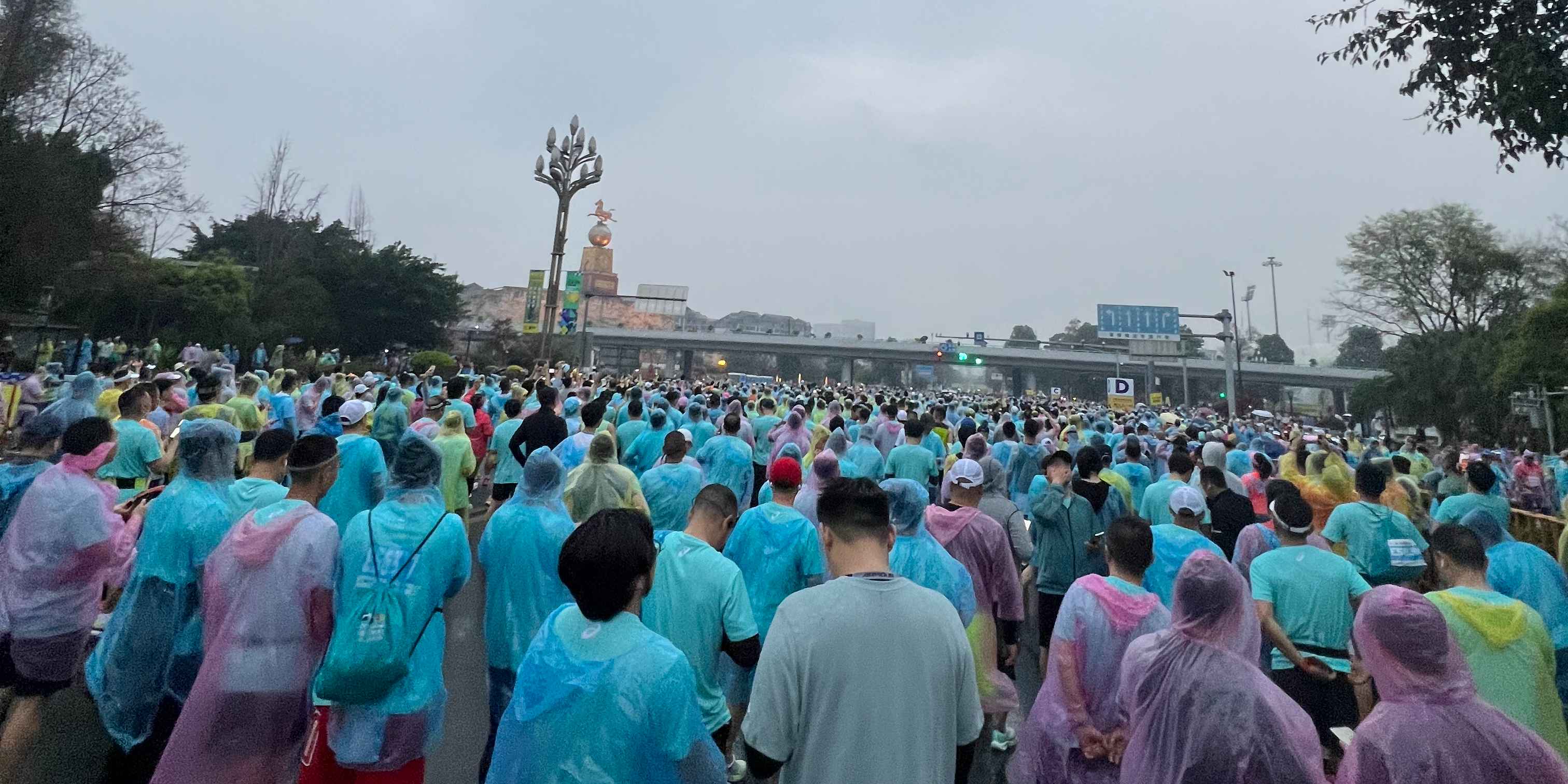 我的首马
